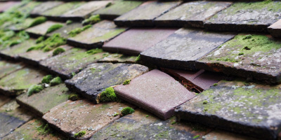 Alveston roof repair costs
